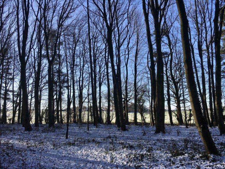 12.01.2025: Heimat-Winterwanderung