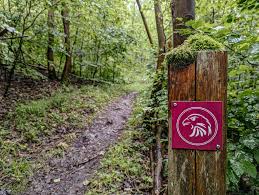 Wanderung auf dem Habichtswaldsteig